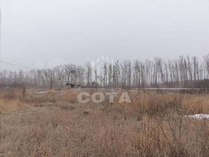 Участок 43 сот. (ИЖС)