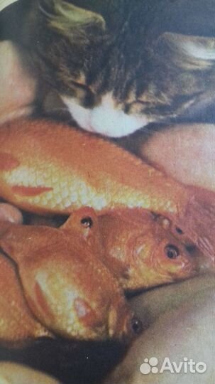 Книги о рыбалке и рыбоводстве