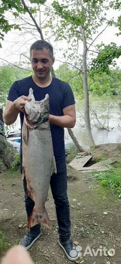 Рыбалка на реках Камчатки