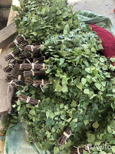 Березовые веники 2023 Банный веник