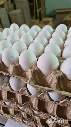 Фермерские, фабричные, куриные яйца
