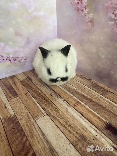 Мини кролики