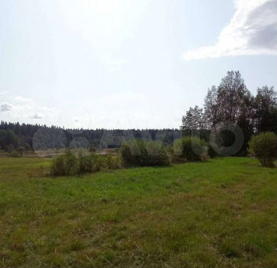 Участок 20 сот. (СНТ, ДНП)