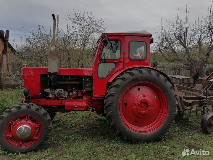 Трактор ЛТЗ Т-40АП, 1980