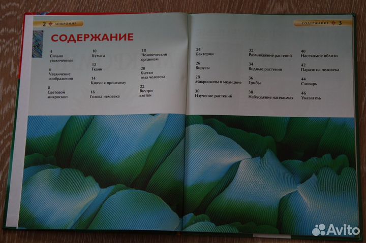 Энциклопедия микромир