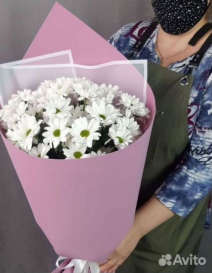 Хризантема