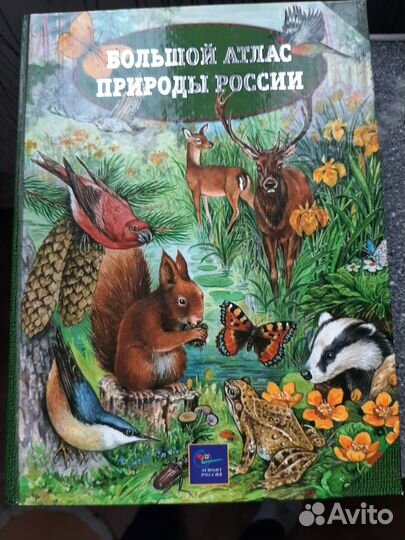 Энциклопедия для детей