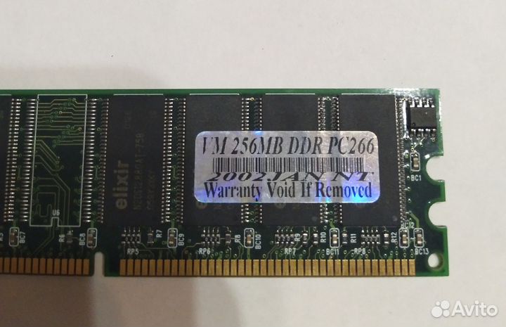 Ddr1 256