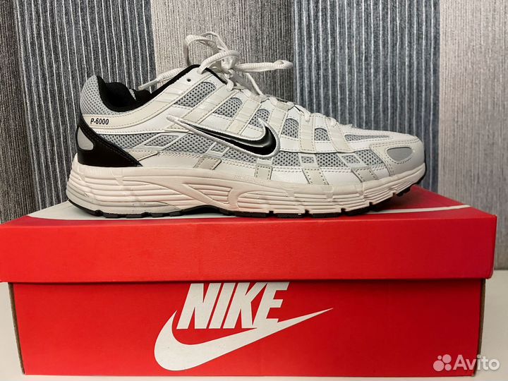 Nikep6000 Platinum Tint