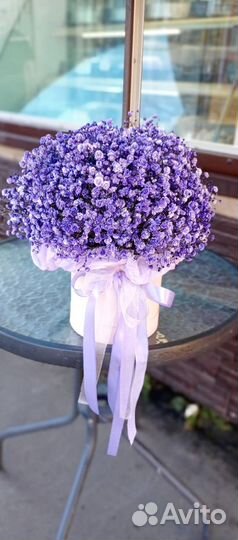 Букет из гипсофилы