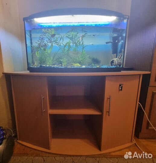 Аквариум с тумбой