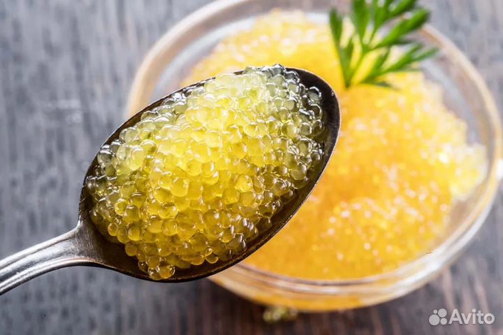 Икра щуки свежая.Пивной магазин пятница
