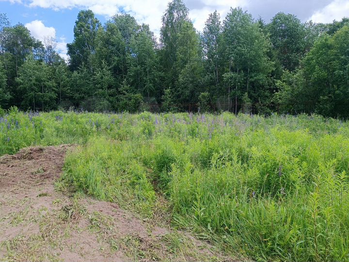 Участок 10 сот. (ИЖС)