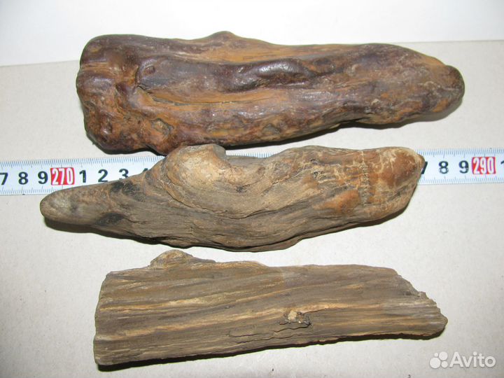 Окаменелое дерево (в коллекцию)