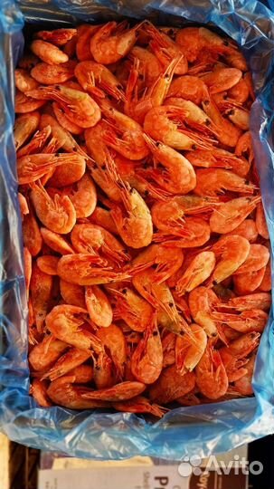 Креветки приготовленные. Доставка