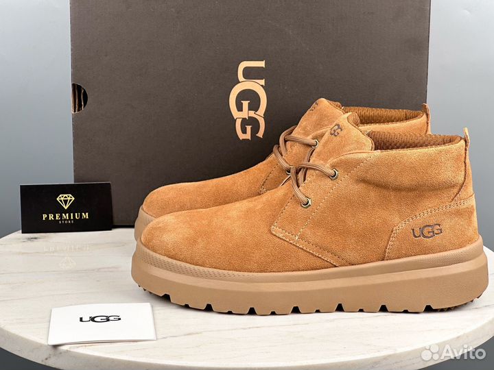 Ботинки UGG Burleigh Chukka Chestnut