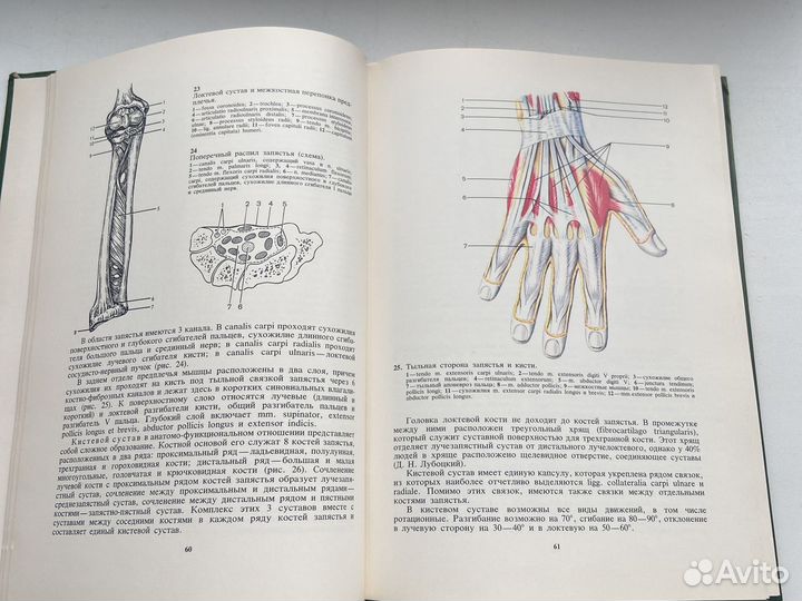 Книги по травматологии.Мовшович. Шабанов