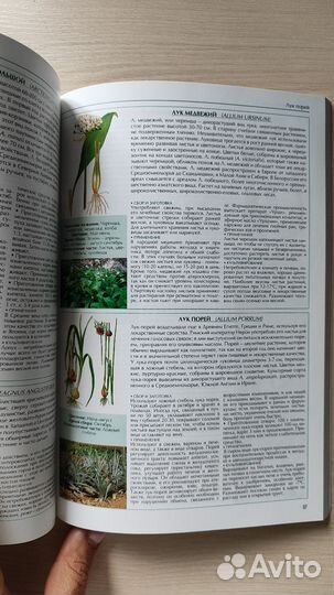Книги комнатные/лекарственные растения