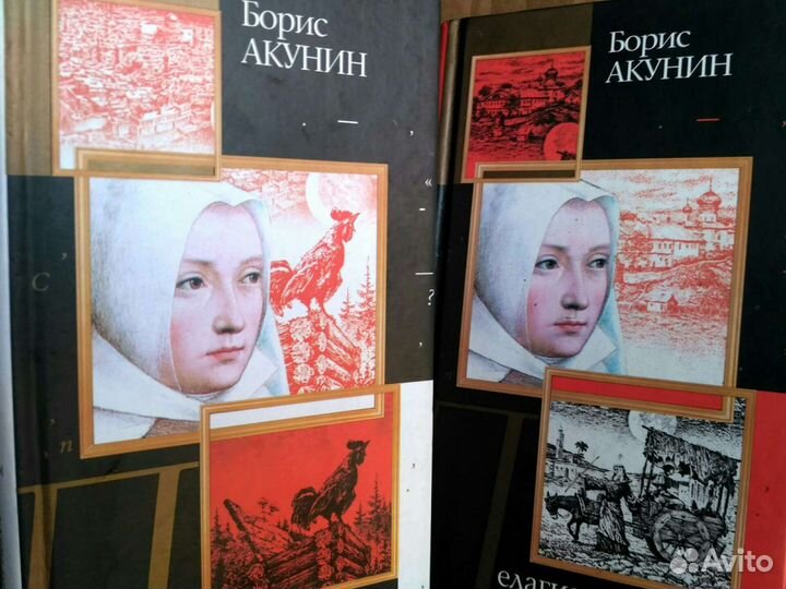 Книги разные.Э.Лимонов.Б.Акунин