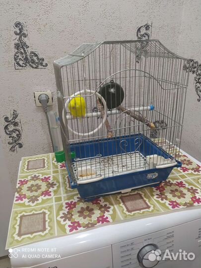 Волнистый попугай с клеткой
