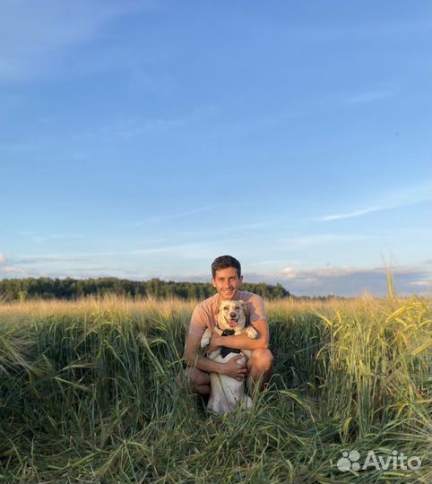 Коррекция поведения,воспитание,дрессировка,кинолог