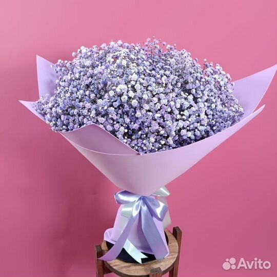 Букет из фиолетовых гипсофил 151 шт