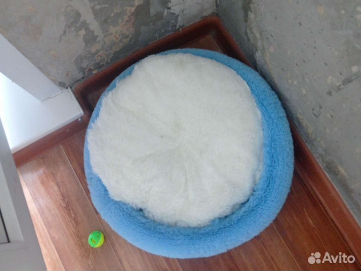 Лежанка для кошек новая