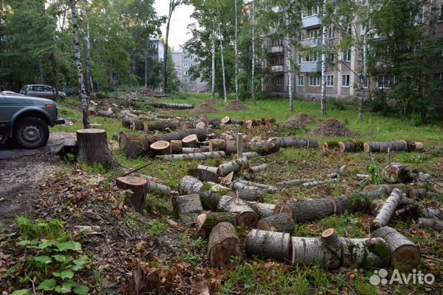 Спил и удаление деревьев московская область