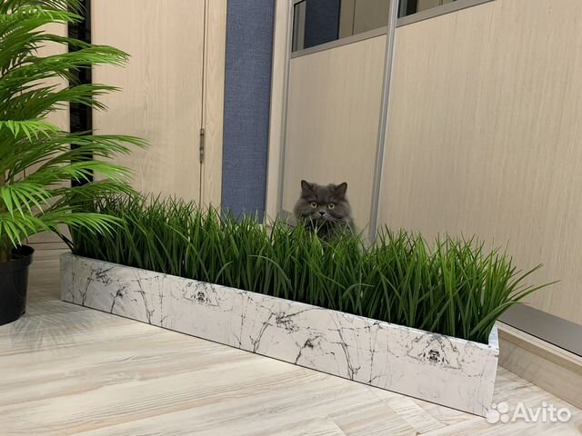 Бордюр из искусственных растерий зелени осока