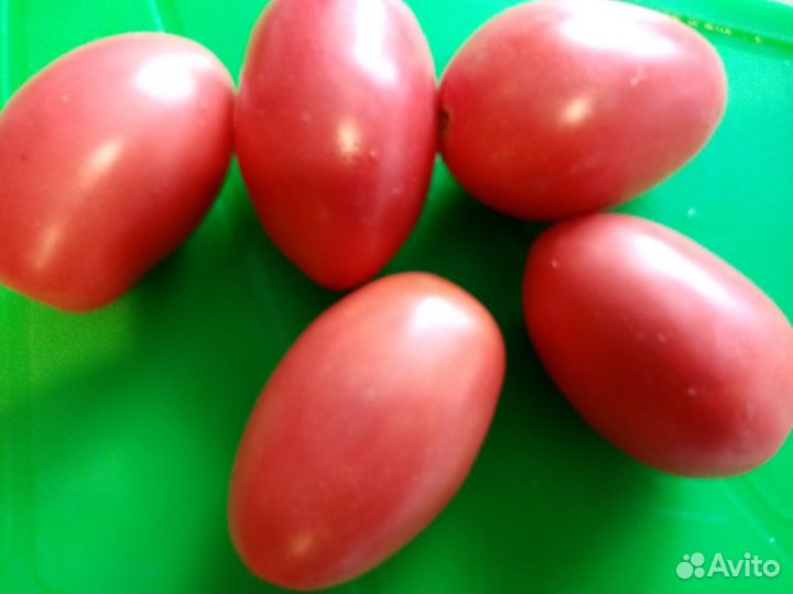 Семена низкорослых и среднерослых томатов