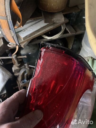 Стопарь avensis