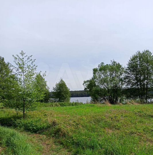 Участок 9,98 га (СНТ, ДНП)