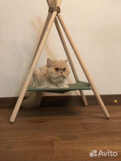 Домик лежанка для кошки и собаки