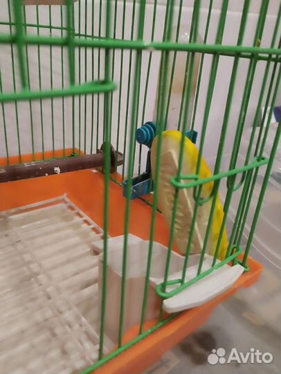 Клетка для птиц