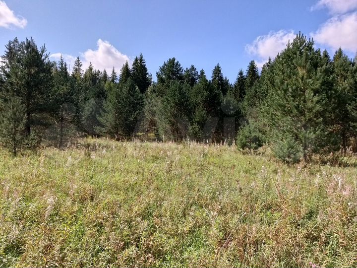 Участок 4,08 га (СНТ, ДНП)