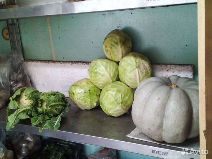 Овощи зелень соленья варенья