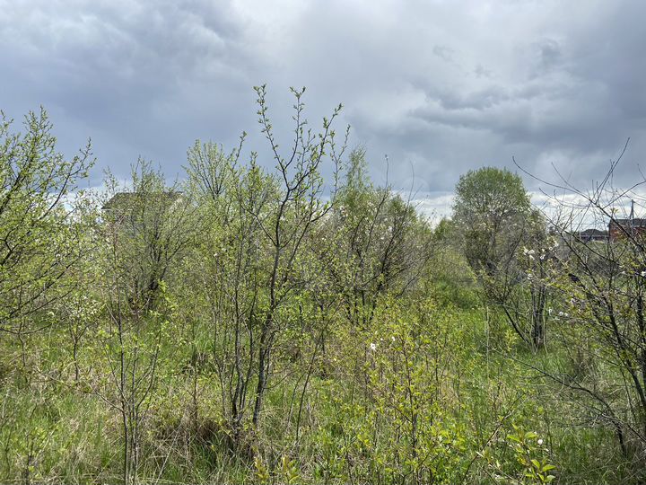 Участок 12 сот. (СНТ, ДНП)