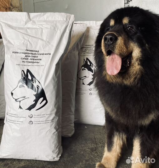 Корм супер-премиум «Променад» говядина