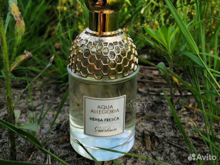 Guerlain aqua allegoria herba fresca / герлен духи