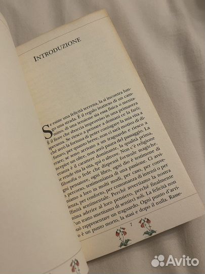 Книга на итальянском