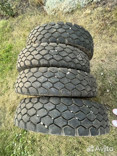 Шины на камаз 9 00 r 20
