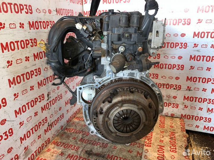 Двигатель Ford Focus 1.6 I shda 2008