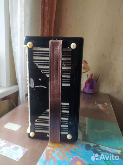 Баян тульский 