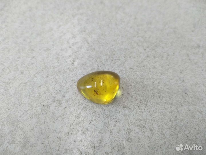 Инклюзы янтарь