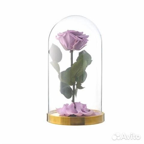 Роза в колбе