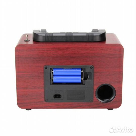 Портативная FM радио колонка NS-8110BT -850