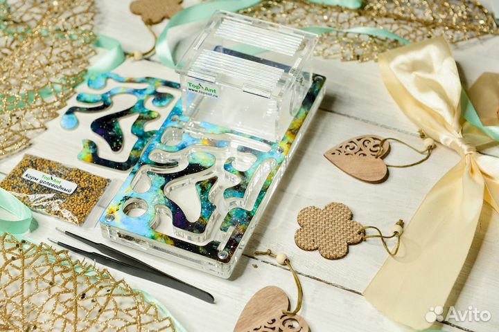 Ферма с муравьями / Формикарий