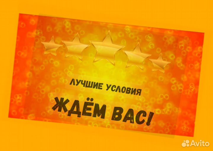 Оператор производственной линии Без опыта М/Ж