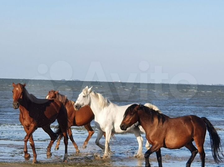 Дом 210 м² на участке 17 сот.