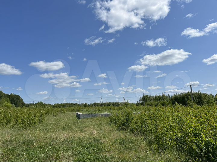 Участок 2,5 га (ИЖС)